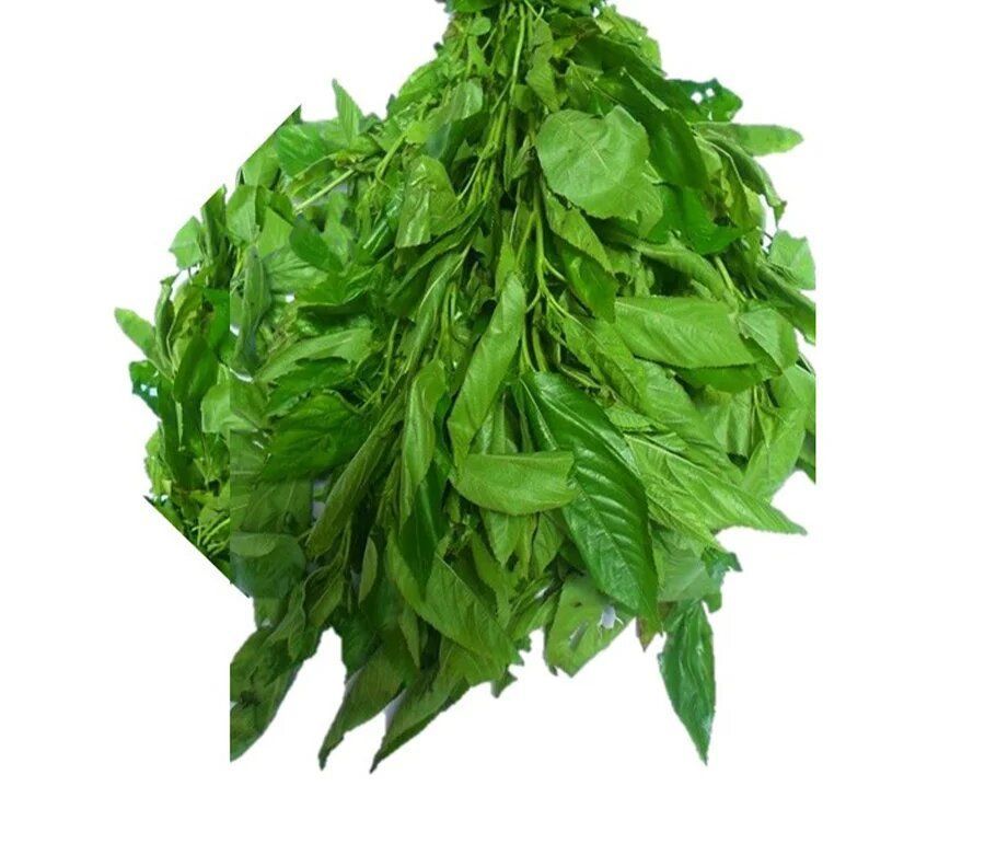 Fresh Ewedu Bunch