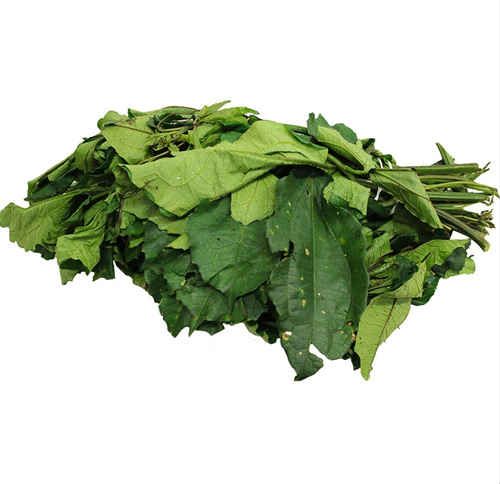 Fresh Ugwu Bunch